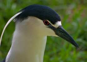P5090872