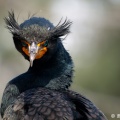 P3121911