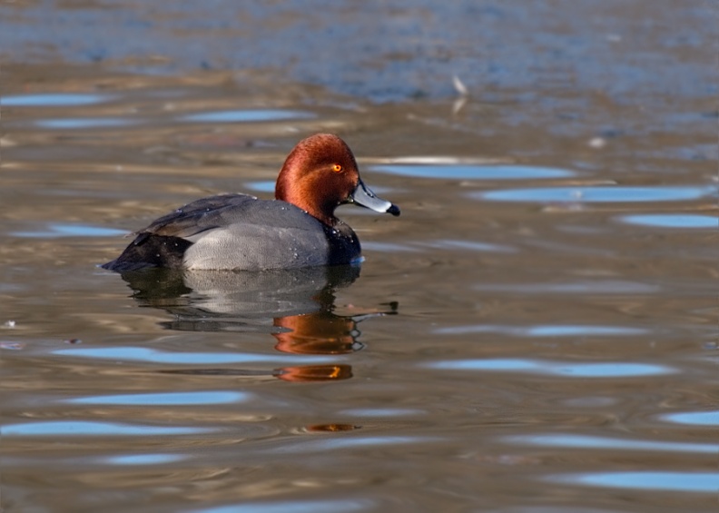 P1224035.jpg