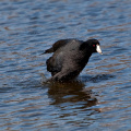 P3184032